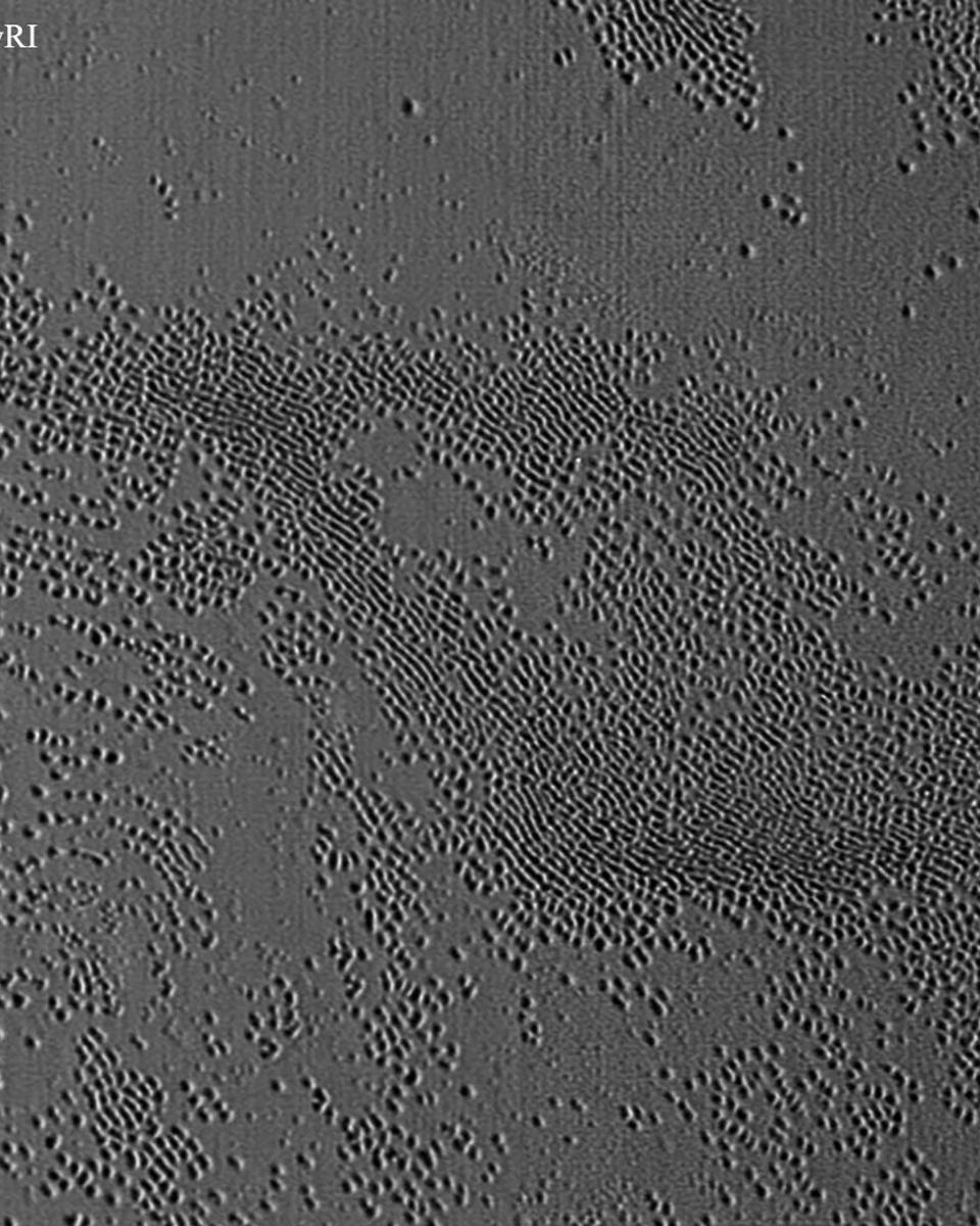 Unusual Pits Discovered on Pluto