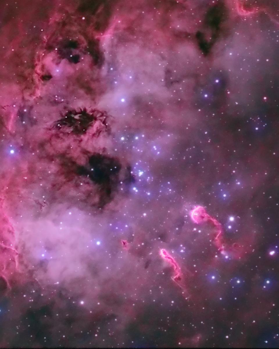 The Tadpoles of IC 410