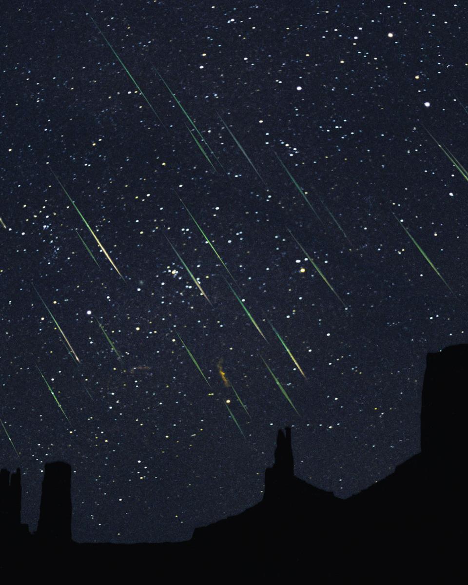Leonids Over Monument Valley