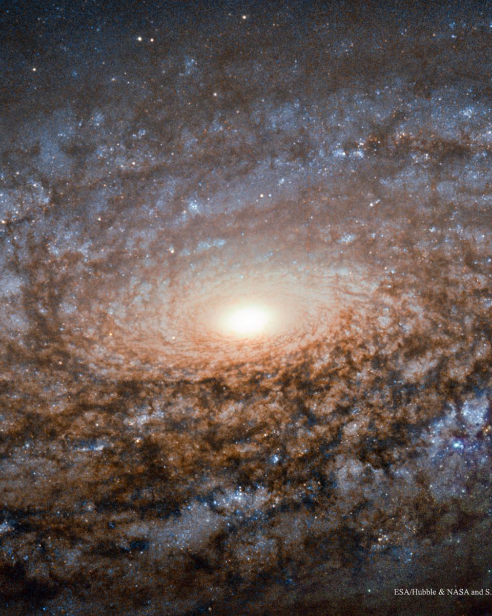In the Center of Spiral Galaxy NGC 3521