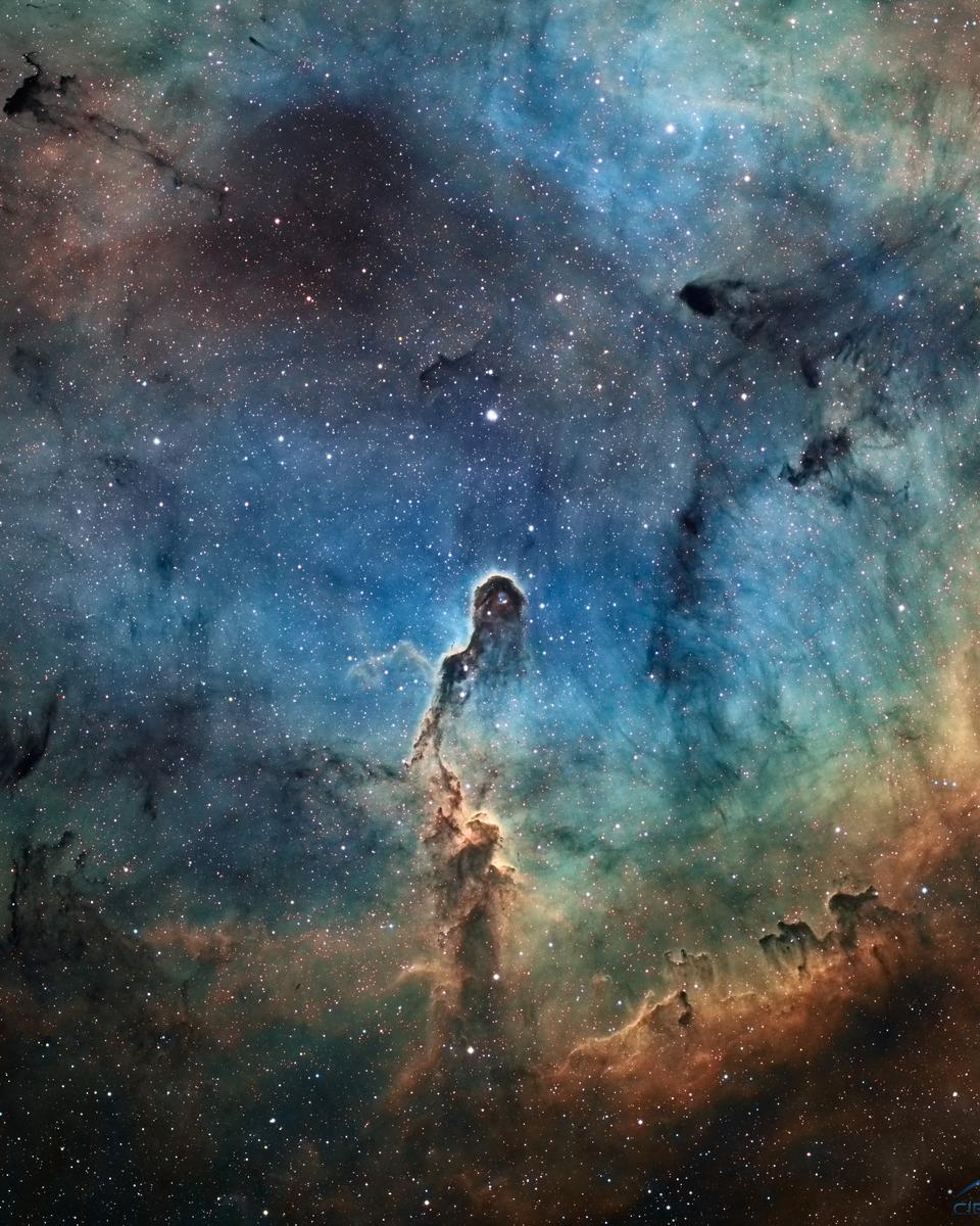 The Elephant's Trunk in IC 1396