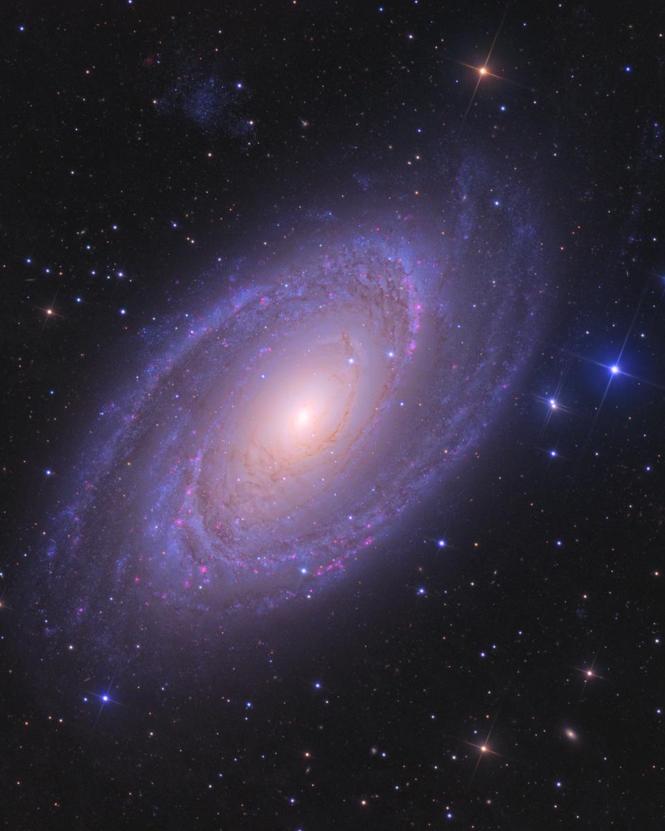 Bright Spiral Galaxy M81