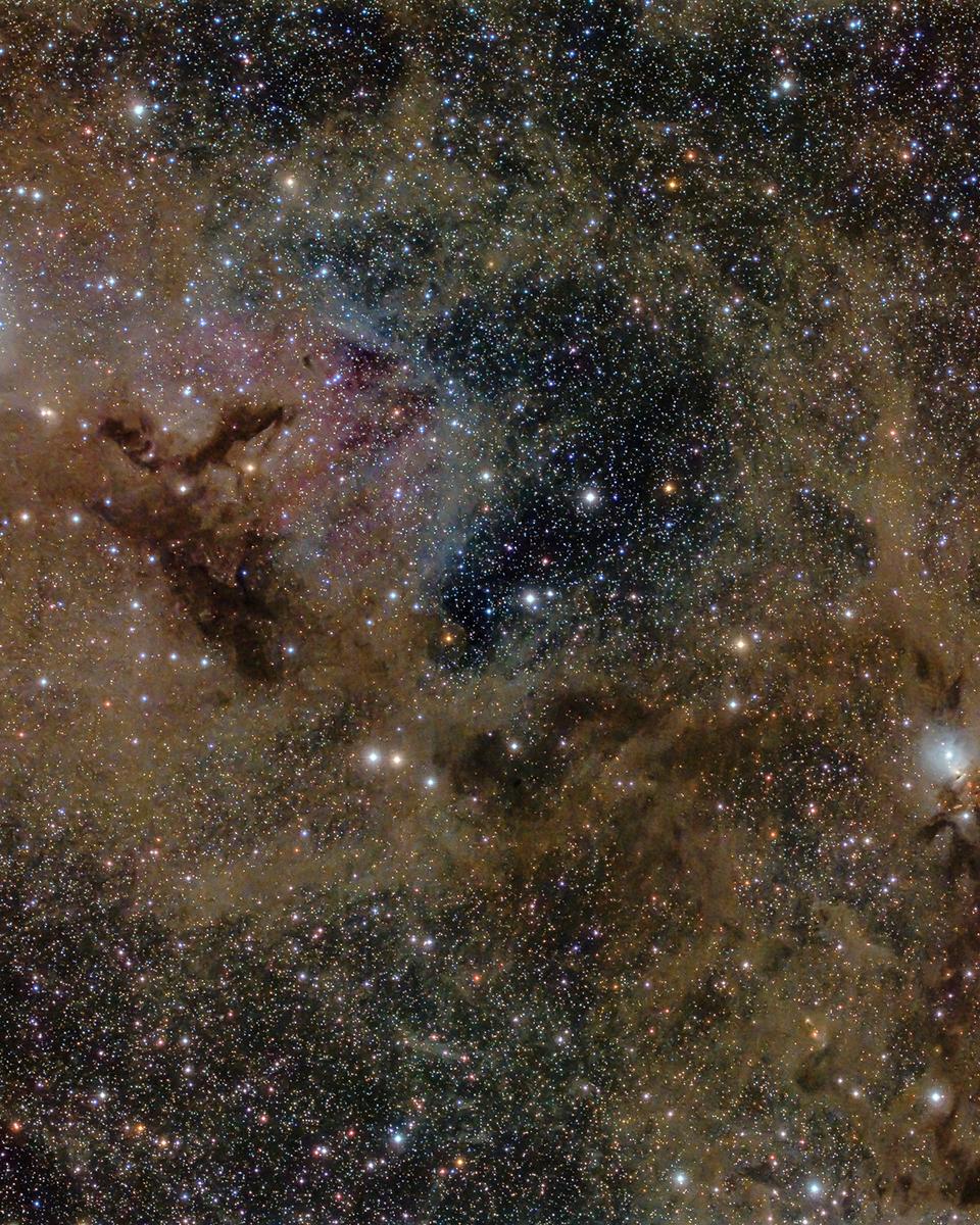 Stardust in Perseus