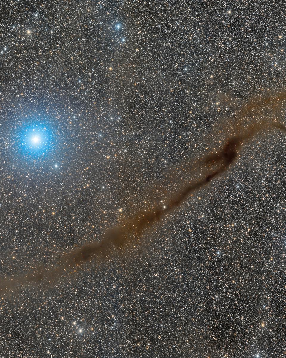 NGC 4372 and the Dark Doodad