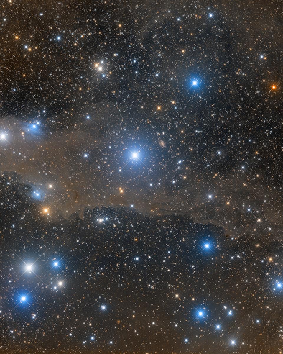 The Shark Nebula