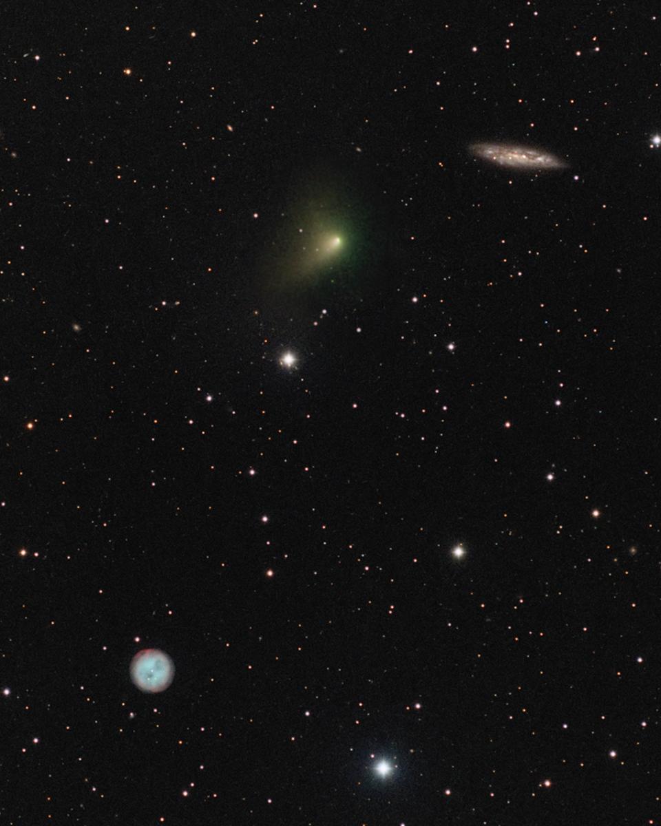 The Comet, the Owl, and the Galaxy