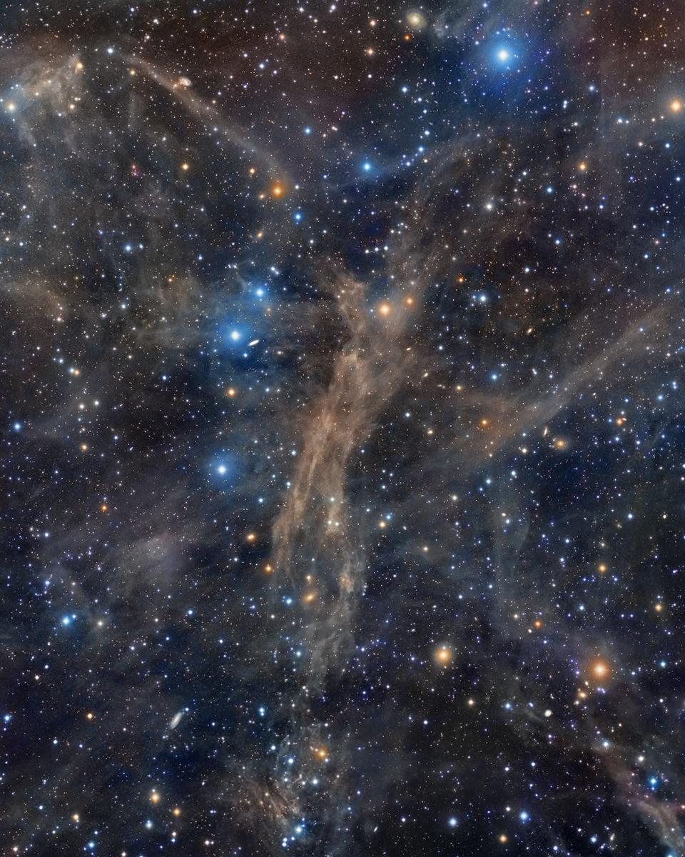 A Dust Angel Nebula