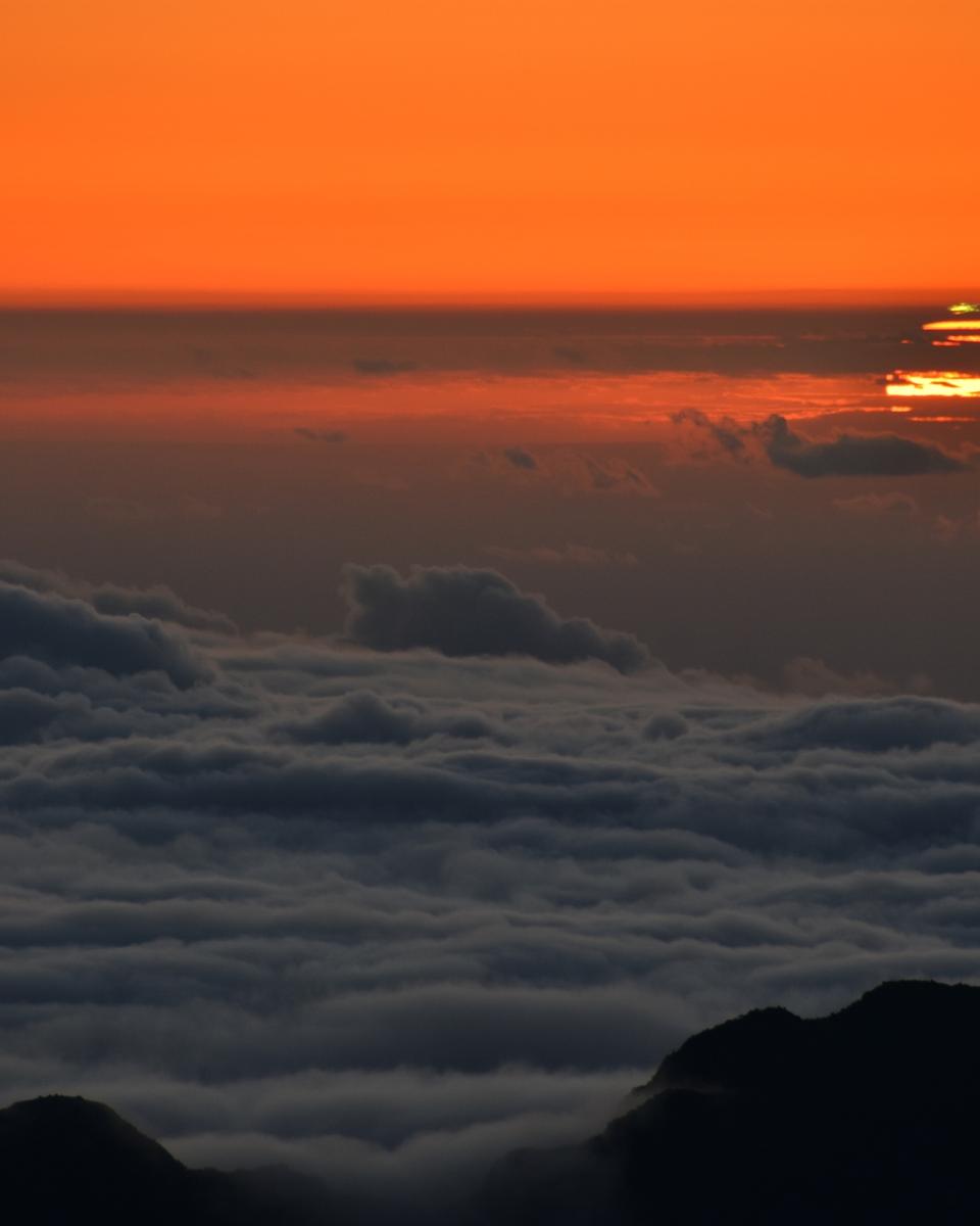 A Green Flash of Spring