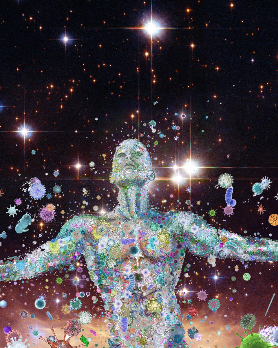 Human as Spaceship