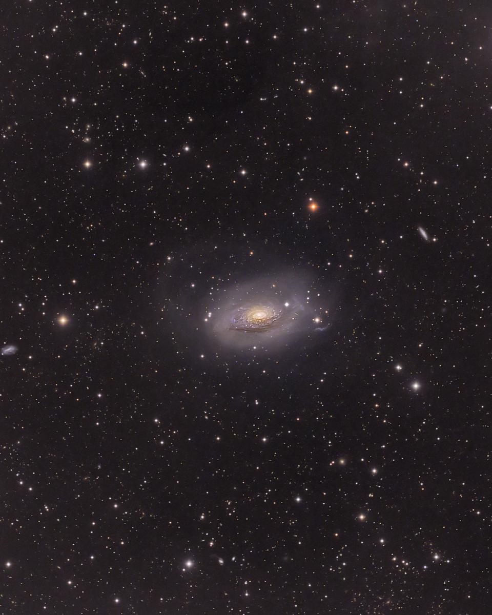 M63: Sunflower Galaxy Wide Field