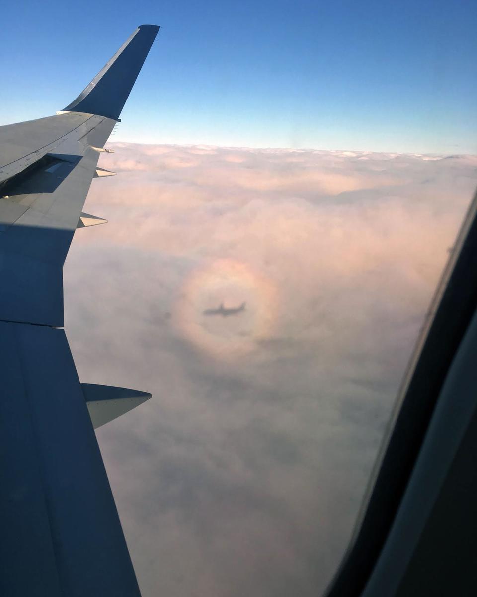 An Airplane Glory