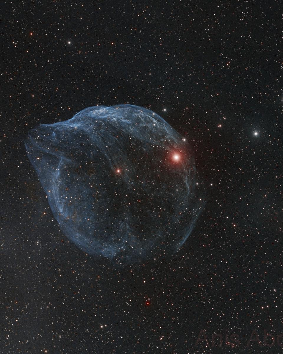 Sharpless 308: Star Bubble