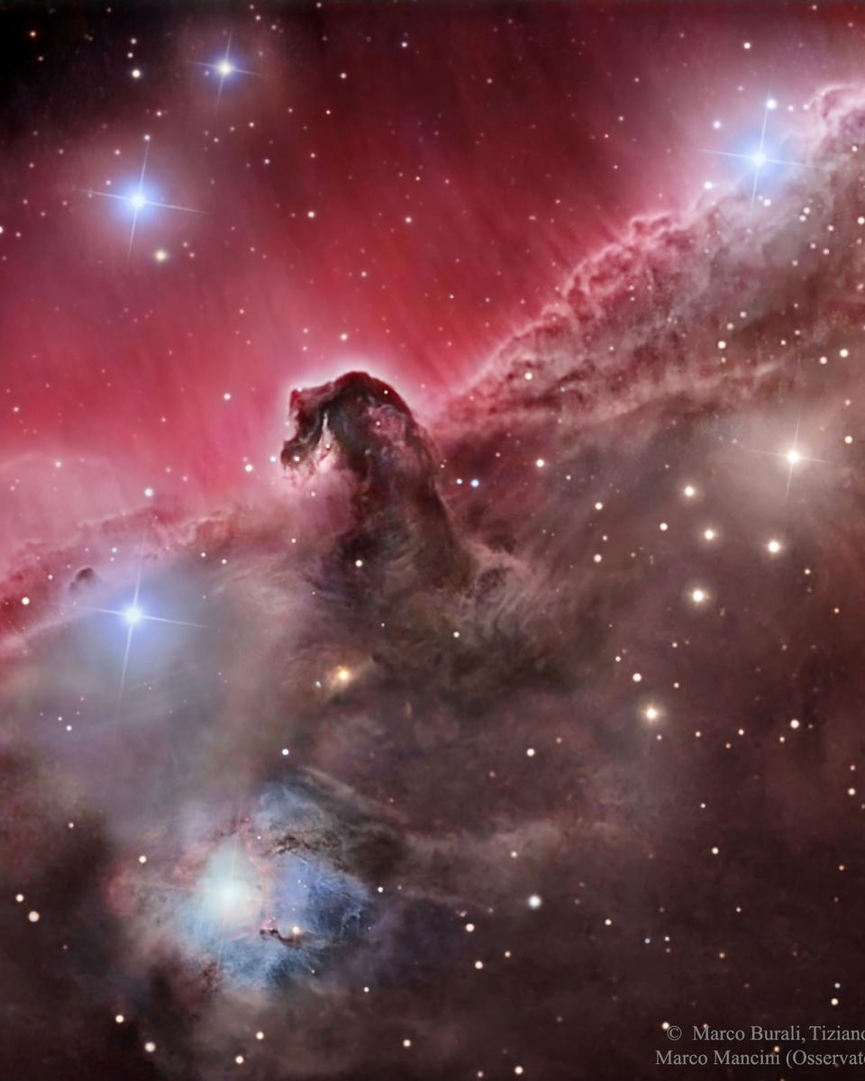 The Magnificent Horsehead Nebula