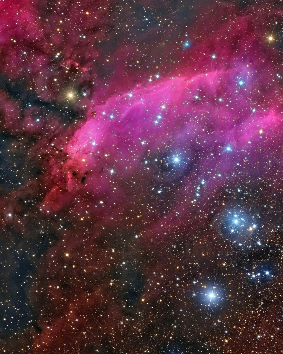 IC 4628: The Prawn Nebula