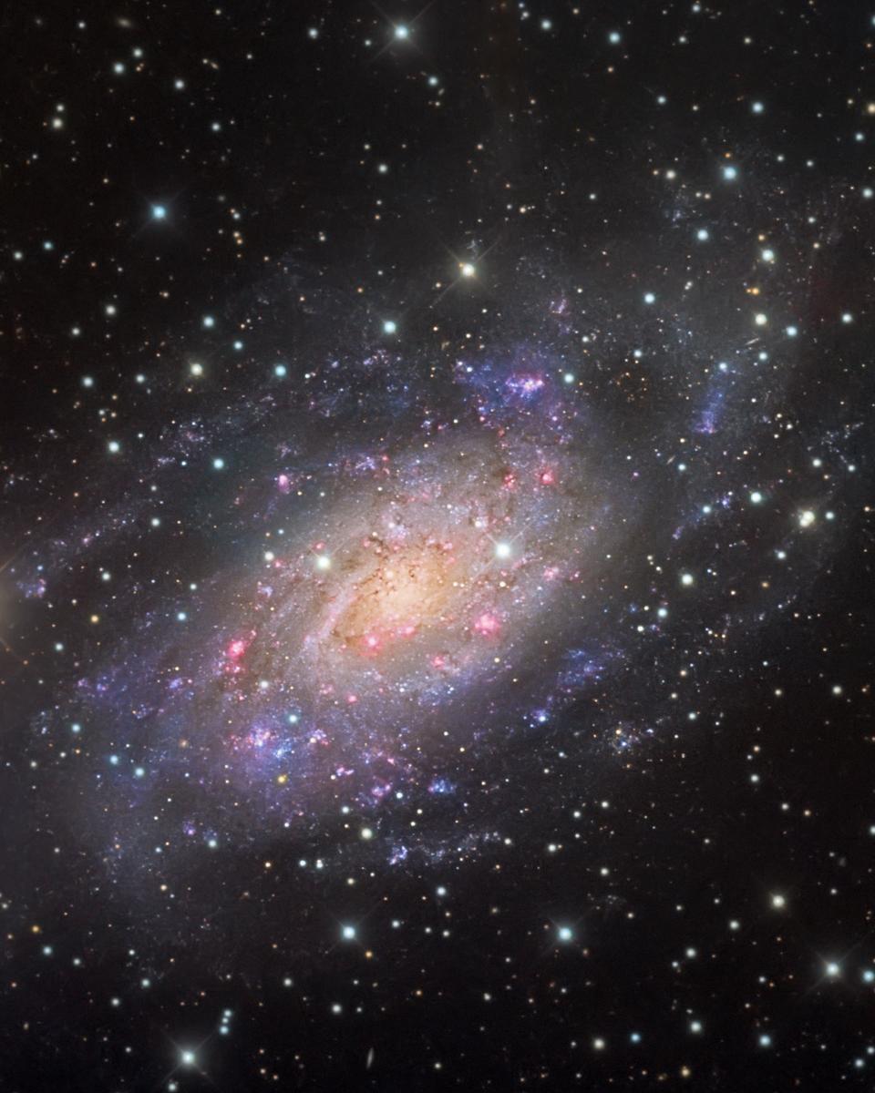 NGC 2403 in Camelopardalis