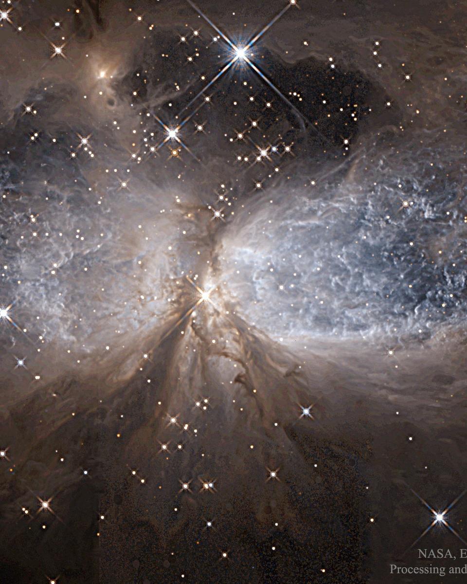 Star Forming Region S106