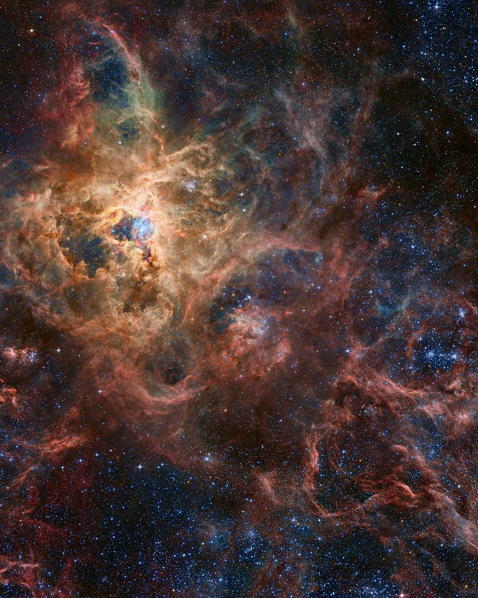 The Tarantula Nebula