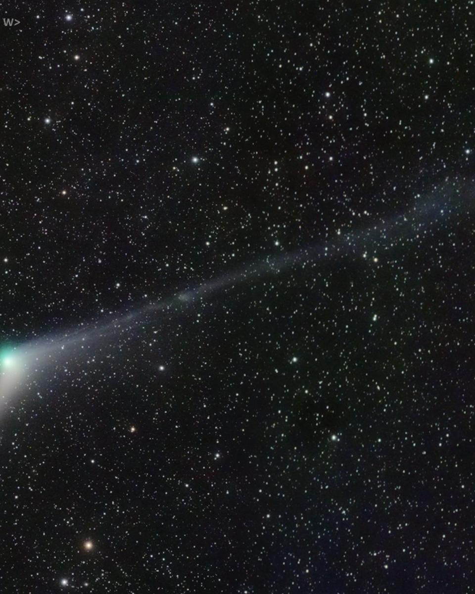 Comet Catalina Tails