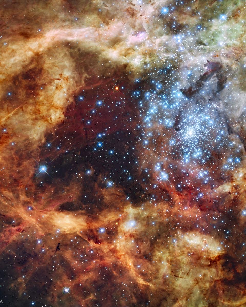 Star Cluster R136 Bursts Out