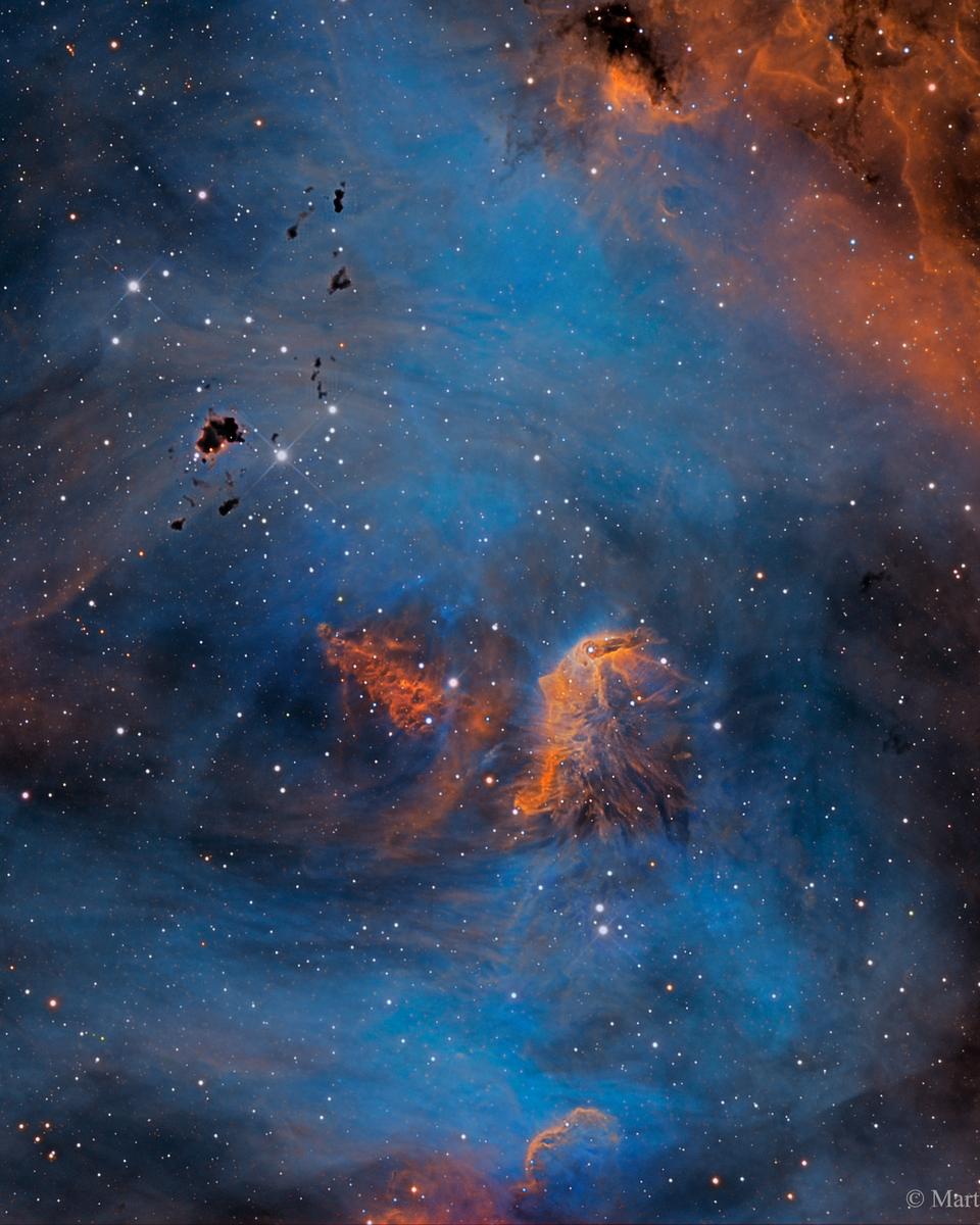 Stars and Globules in the Running Chicken Nebula