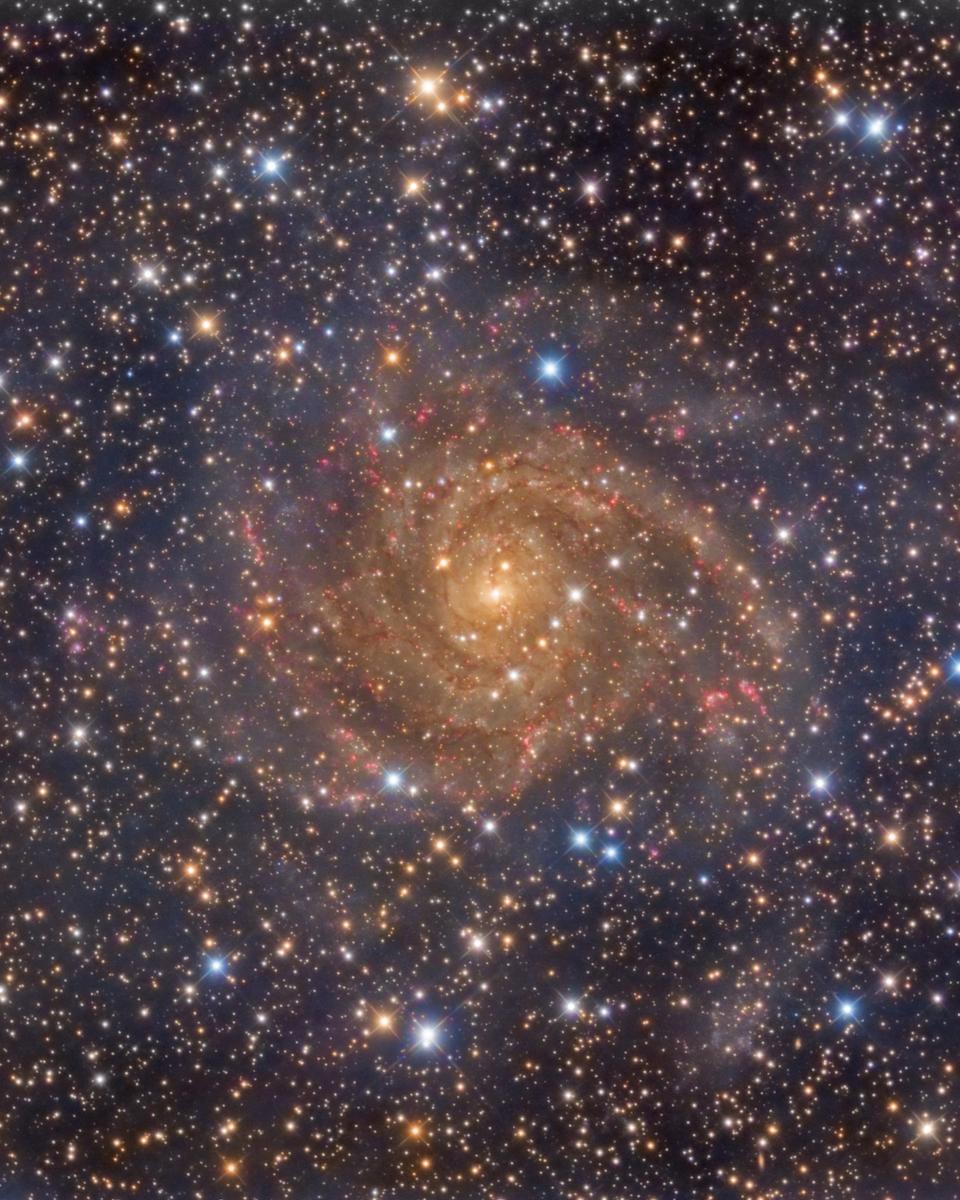 Hidden Galaxy IC 342