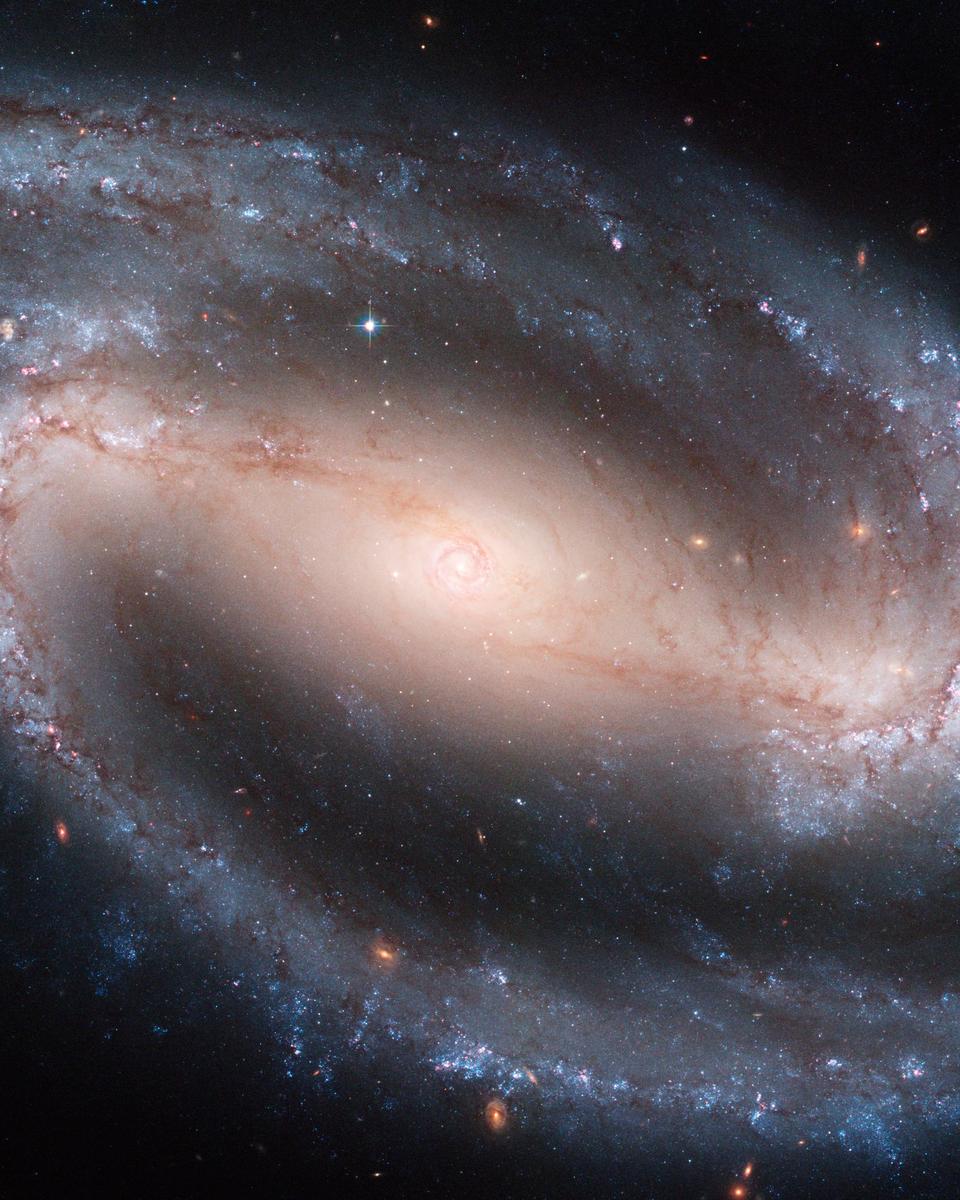 Barred Spiral Galaxy NGC 1300