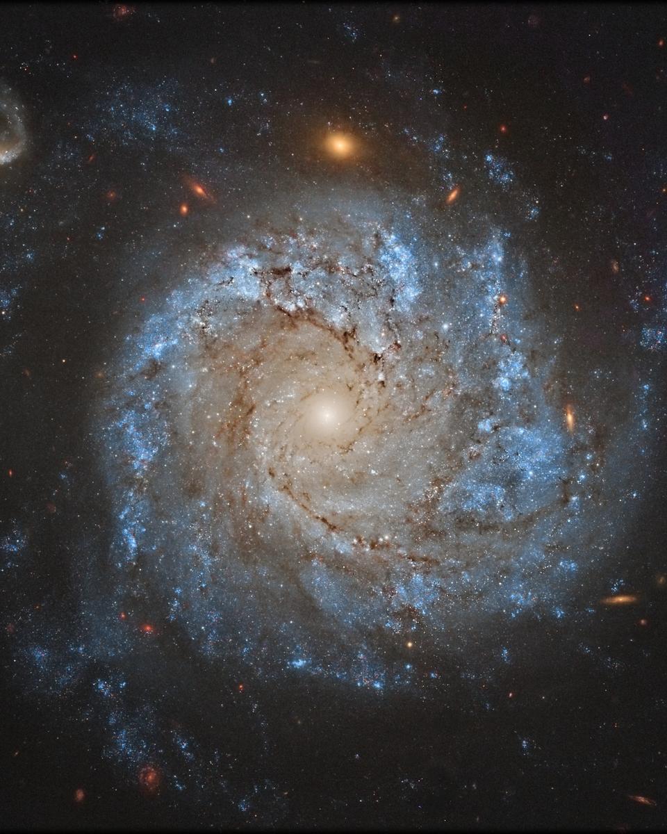 NGC 1309: Spiral Galaxy and Friends