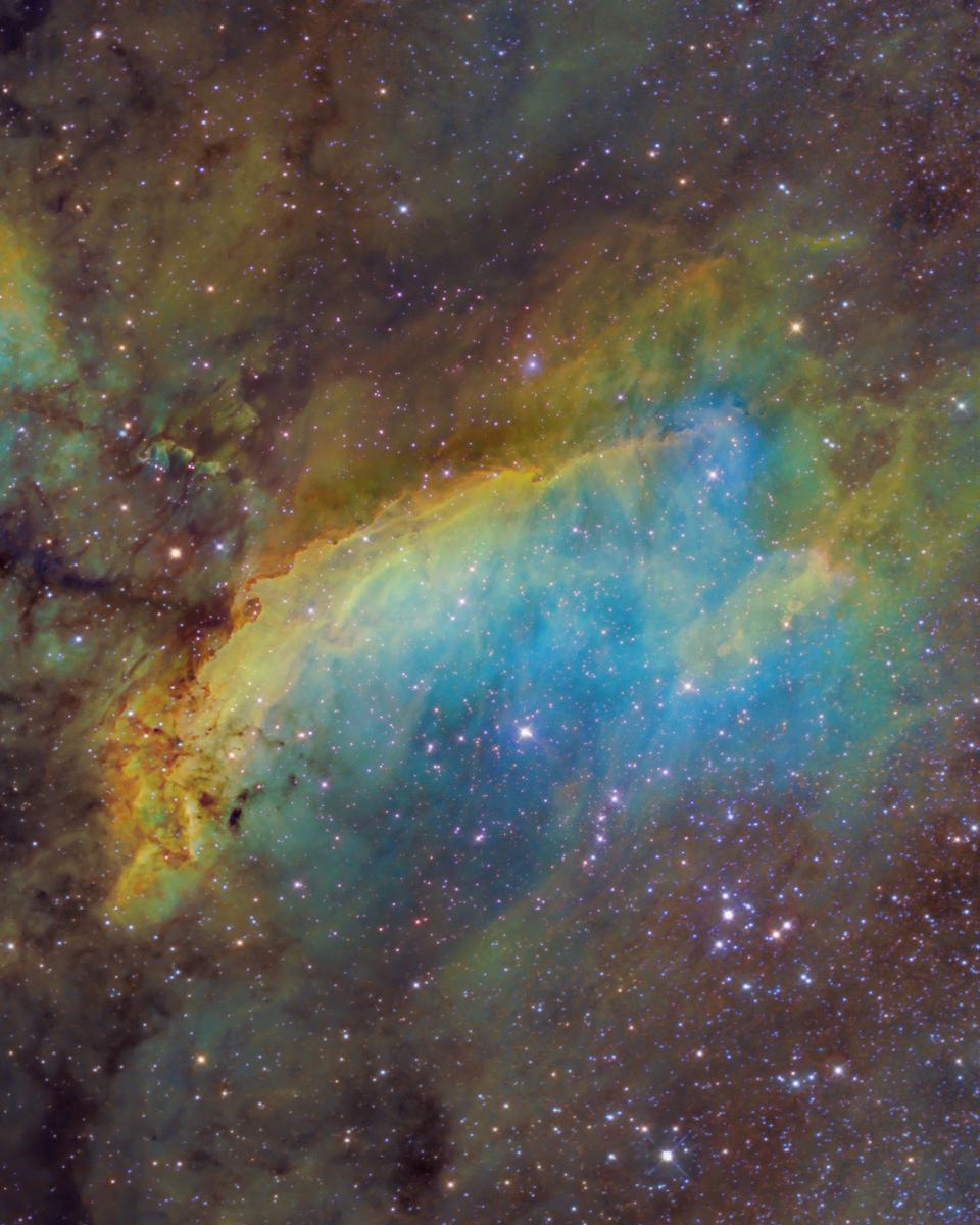 IC 4628: The Prawn Nebula