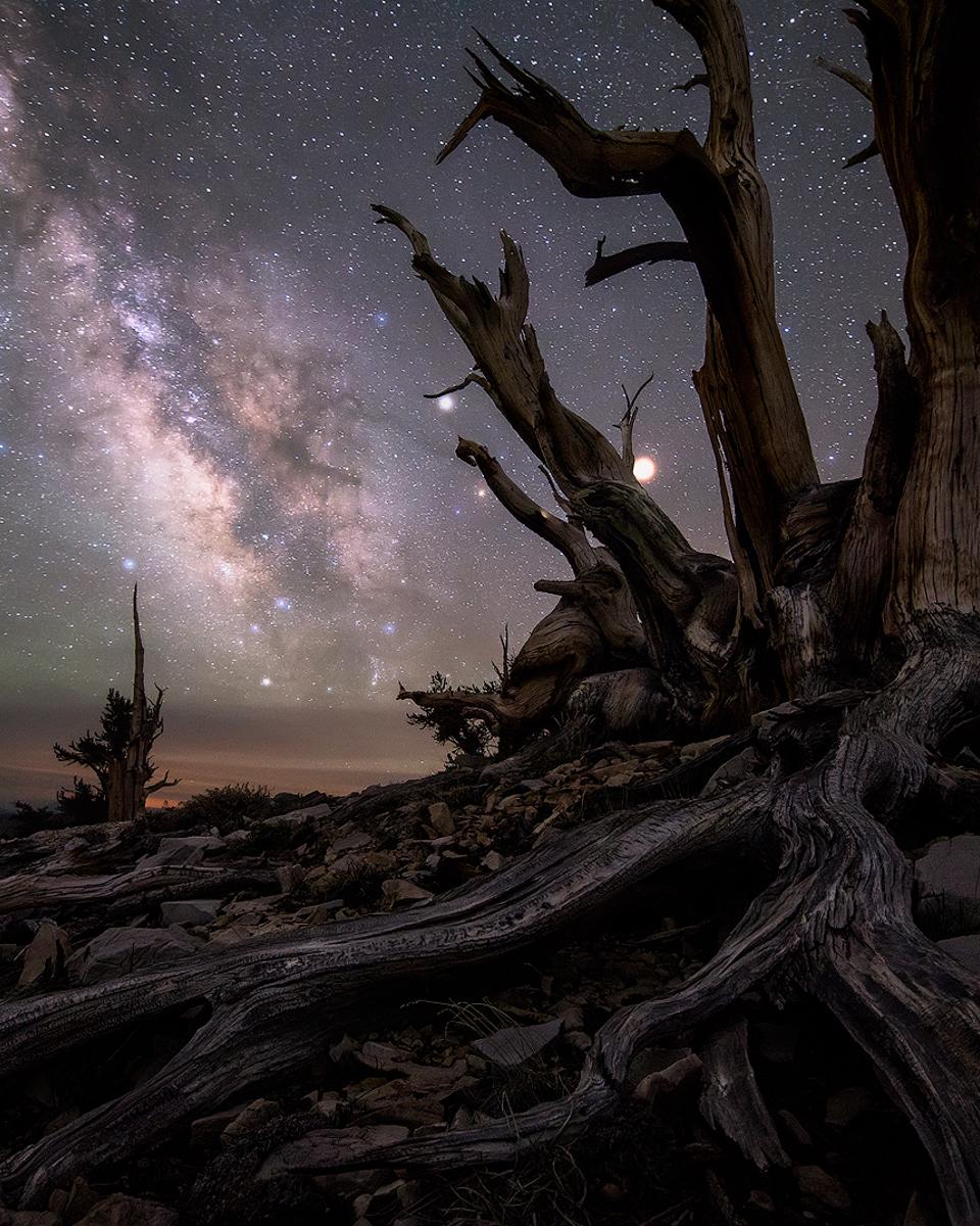 Galaxy and Planets Beyond Bristlecone Pines