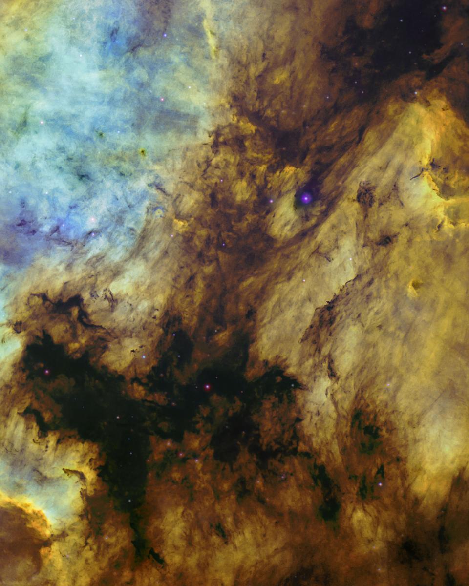 The North America and Pelican Nebulas