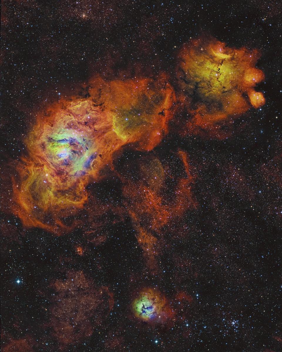 Sagittarius Sunflowers