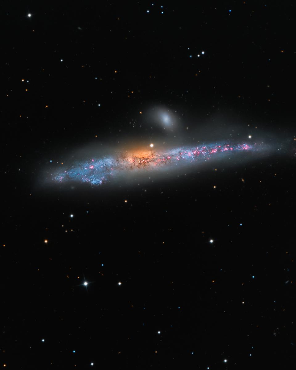 NGC 4631: The Whale Galaxy
