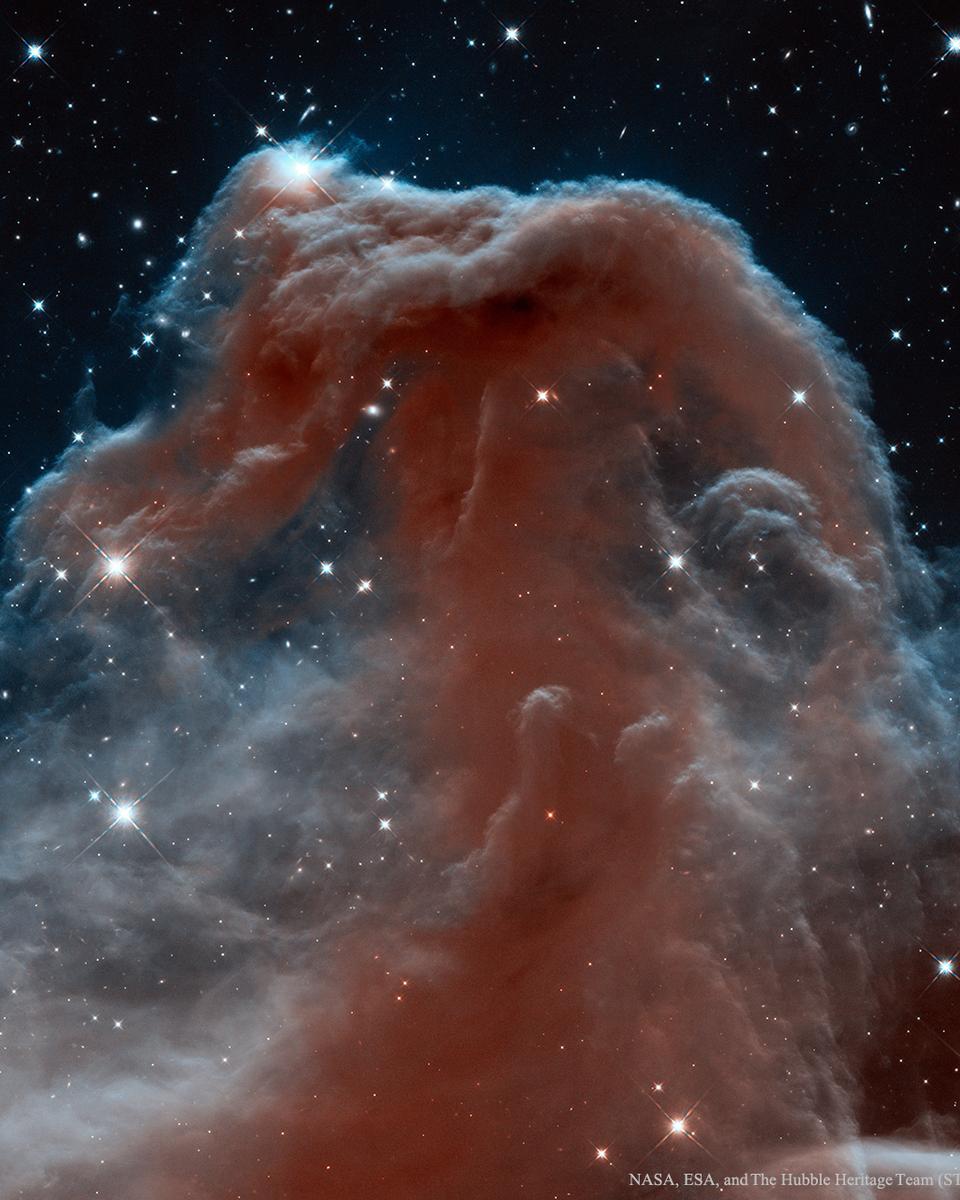 The Horsehead Nebula in Infrared from Hubble