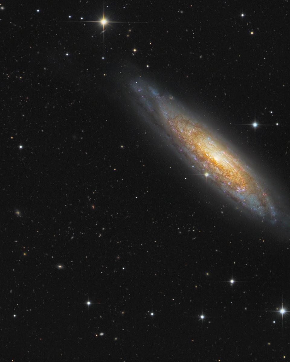 Sculptor Galaxy NGC 134