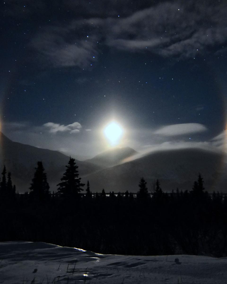 Alaskan Moondogs