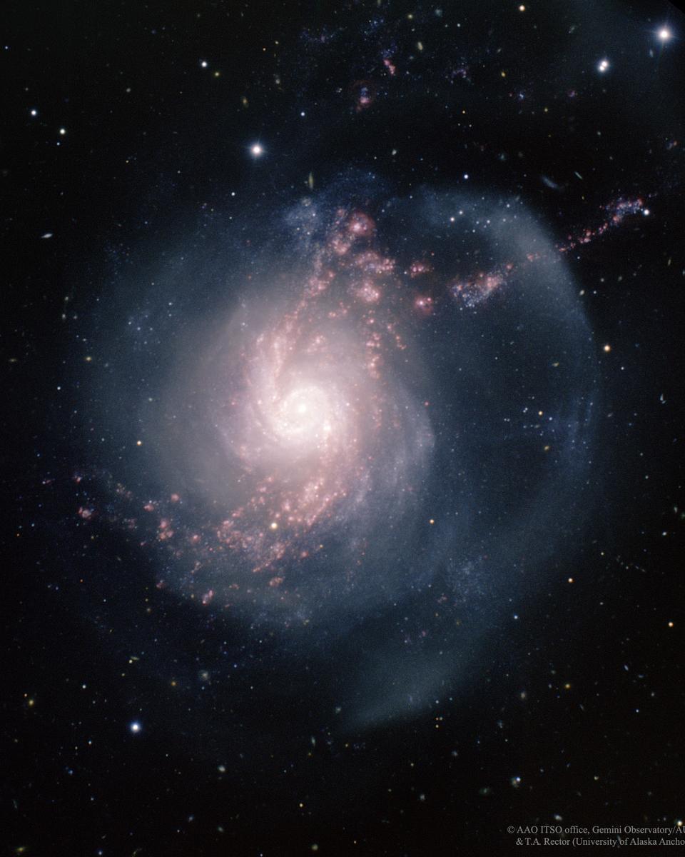 NGC 3310: A Starburst Spiral Galaxy