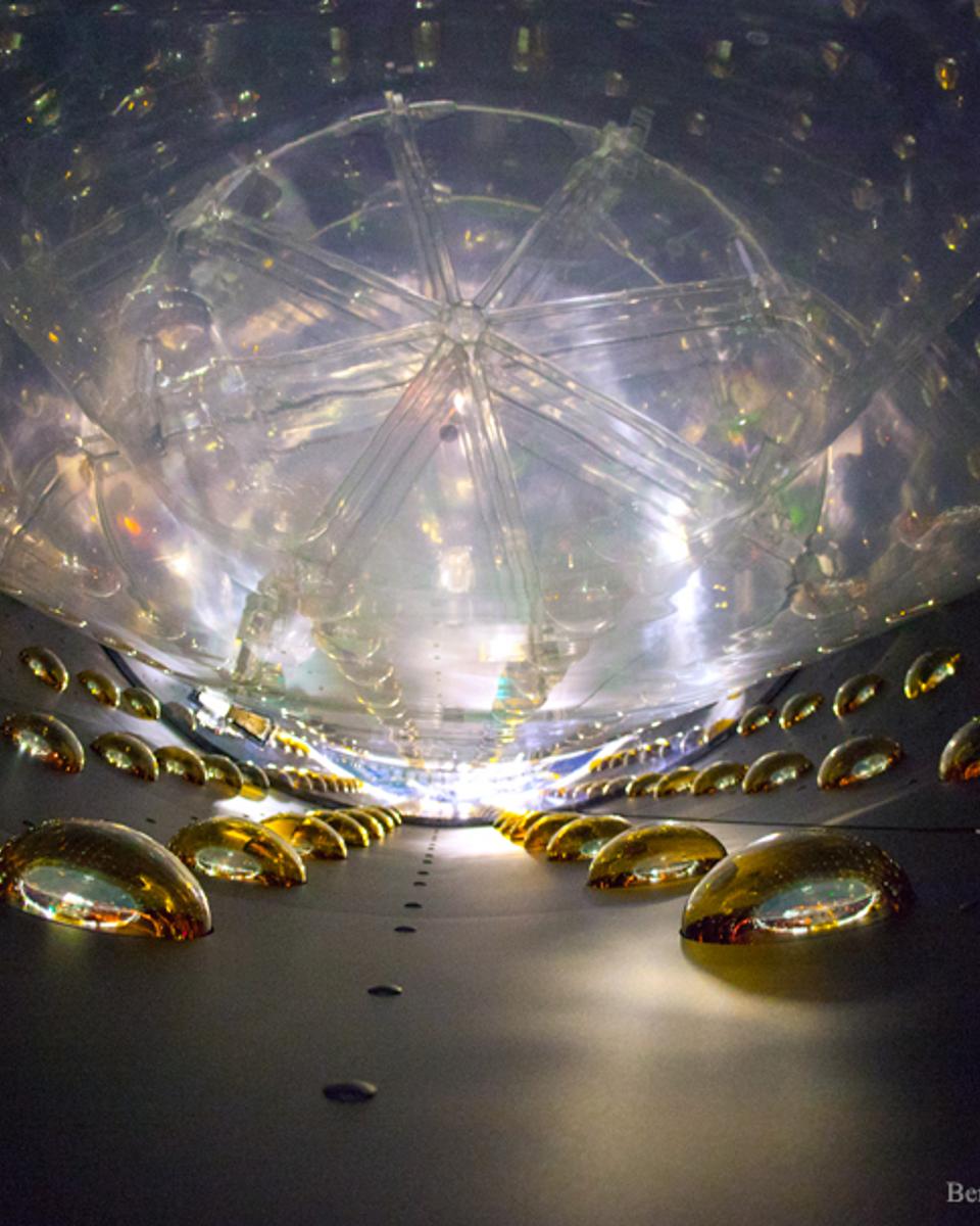 Inside a Daya Bay Antineutrino Detector