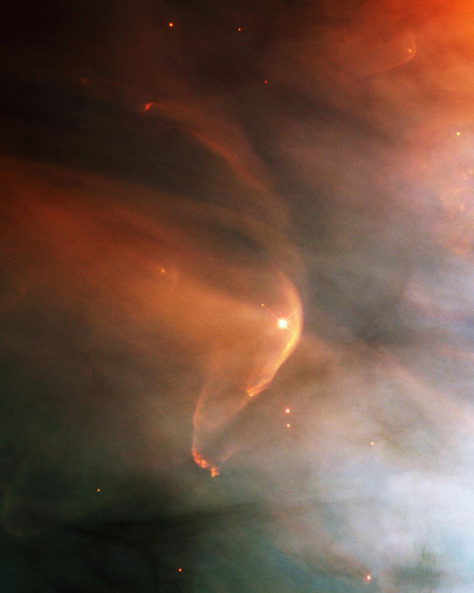 LL Orionis: When Cosmic Winds Collide