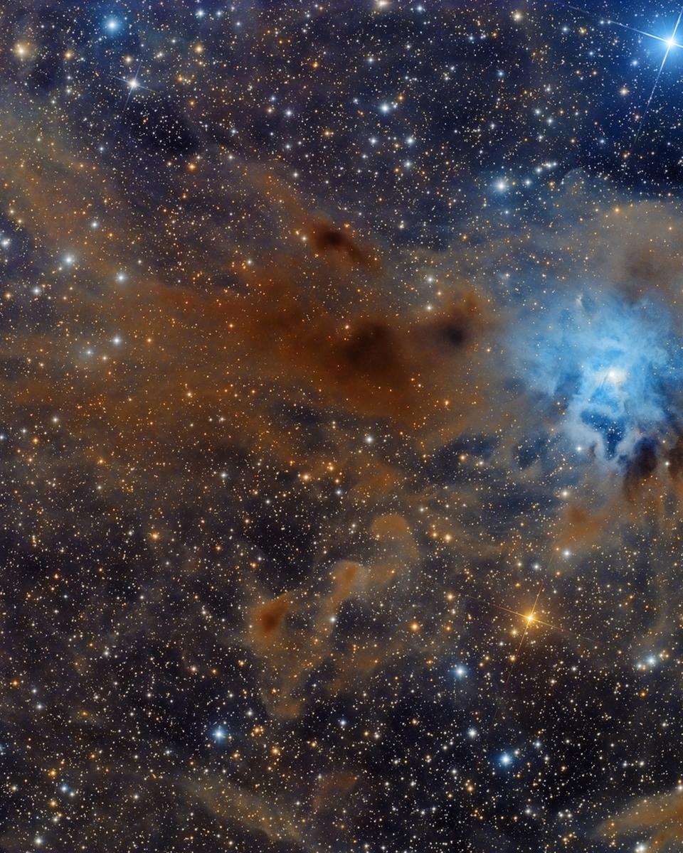 NGC 7023: The Iris Nebula