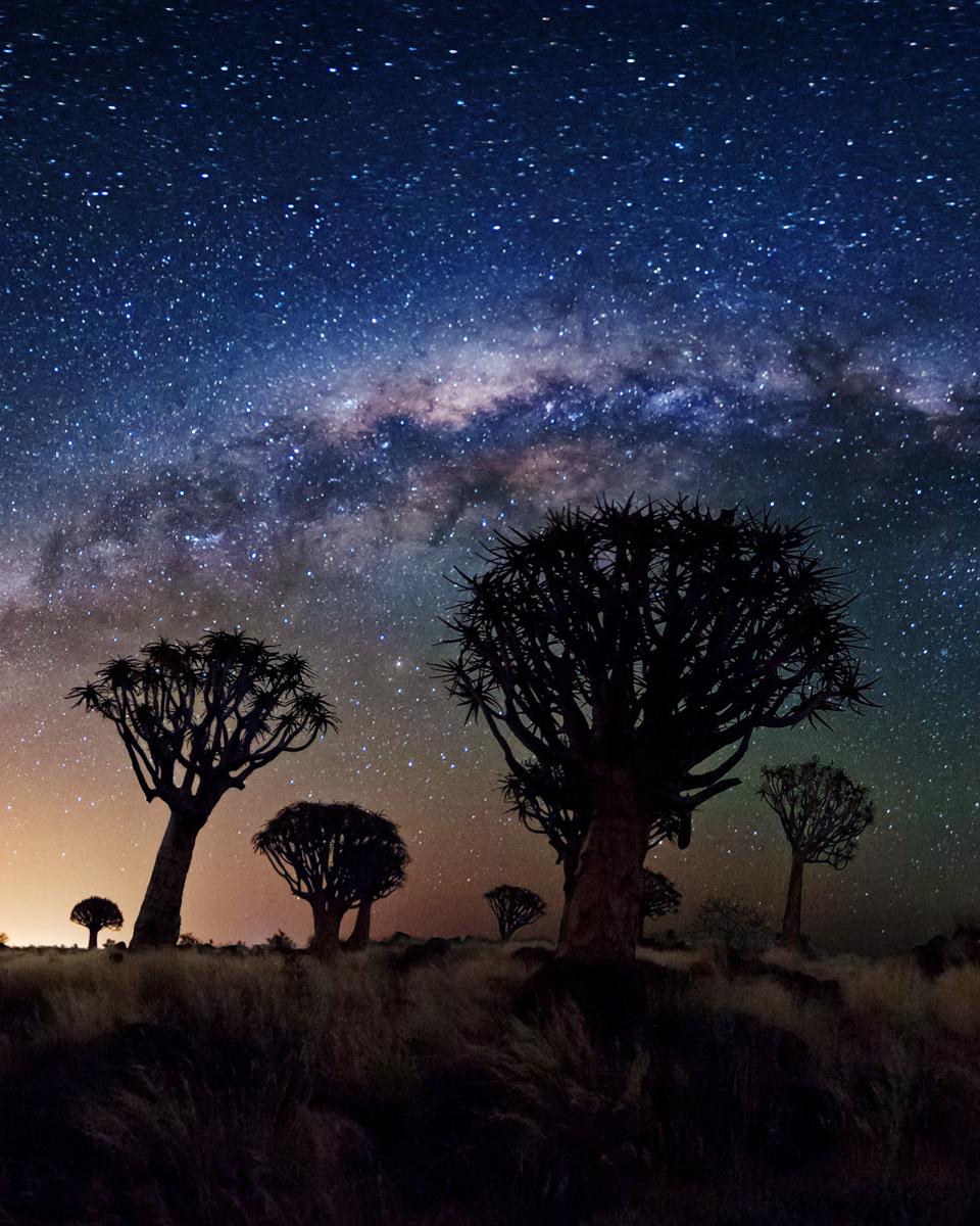 Milky Way Over Quiver Tree Forest