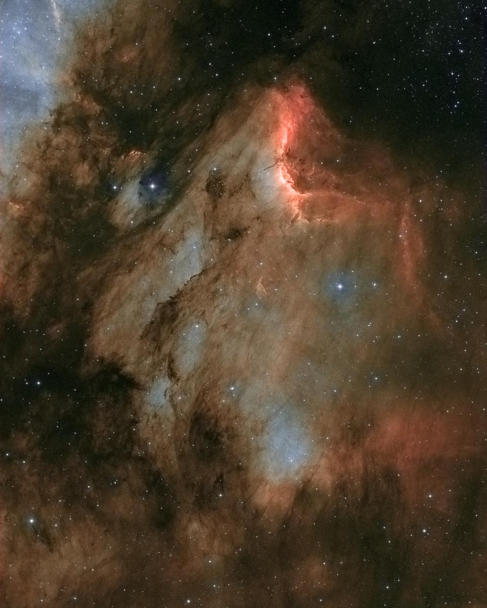 IC 5070: A Dusty Pelican in the Swan