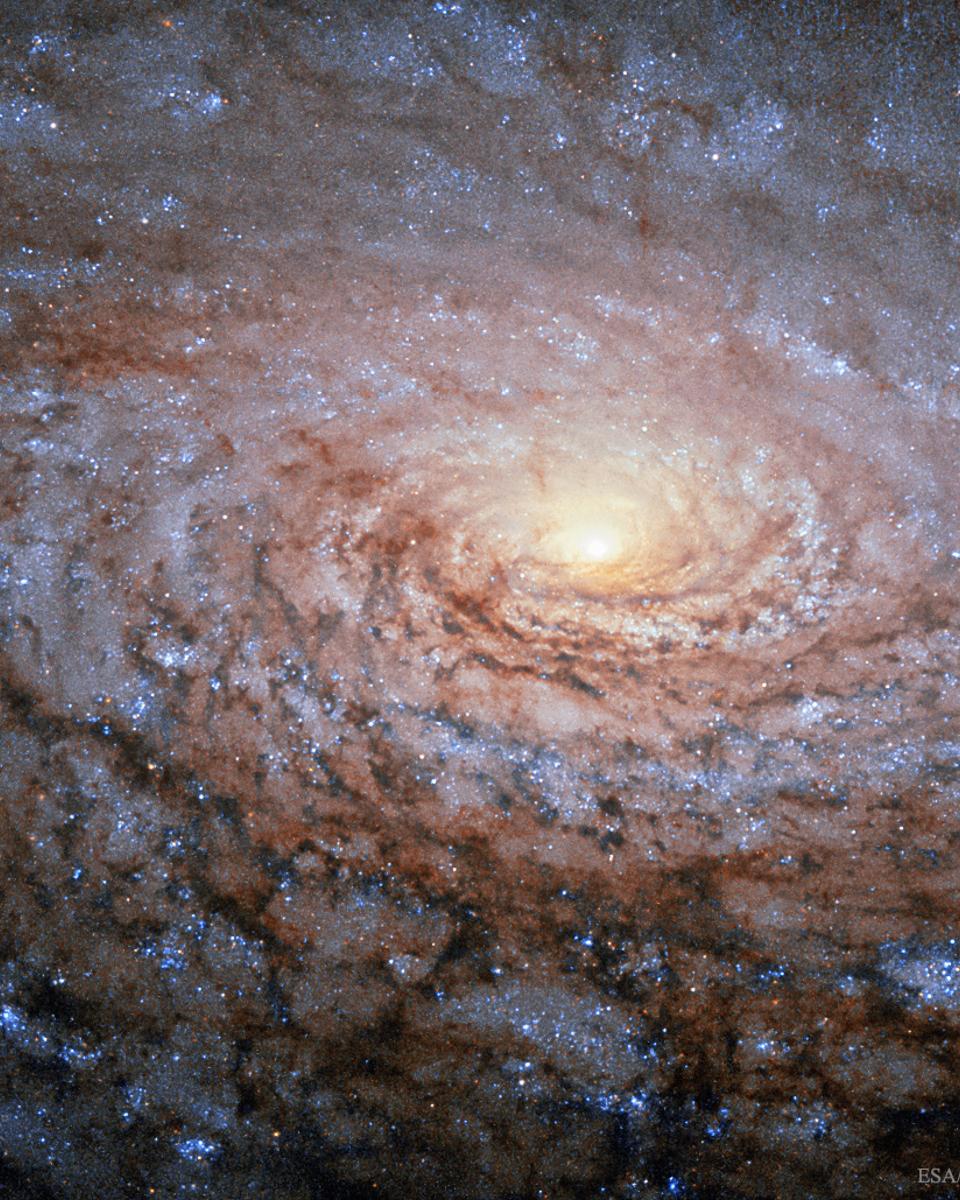 M63: The Sunflower Galaxy from Hubble