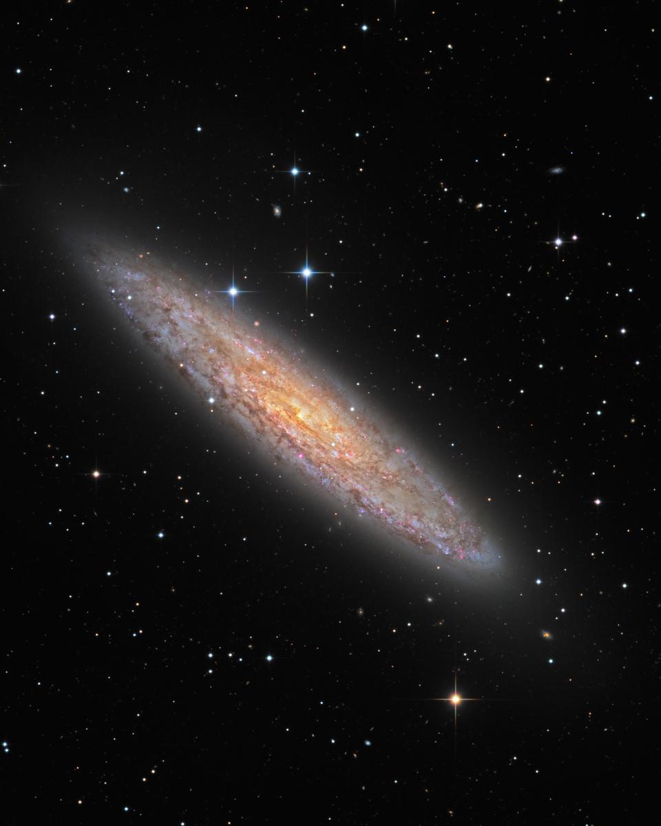 NGC 253: Dusty Island Universe