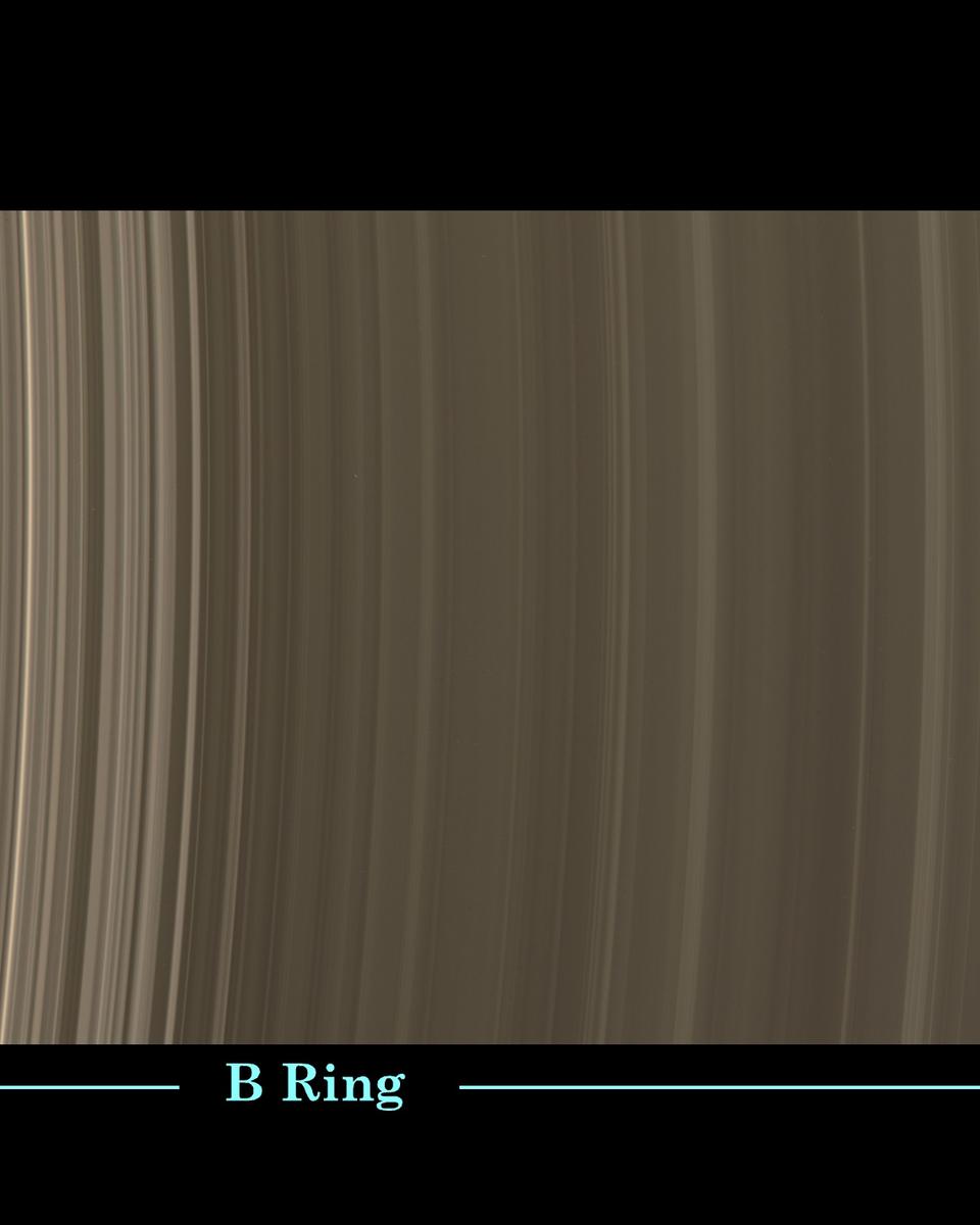Ring Scan