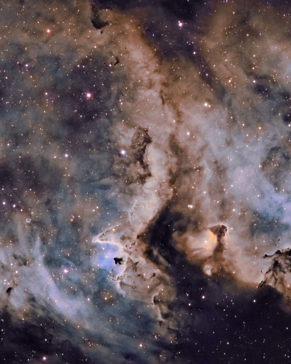 W5: The Soul of Star Formation