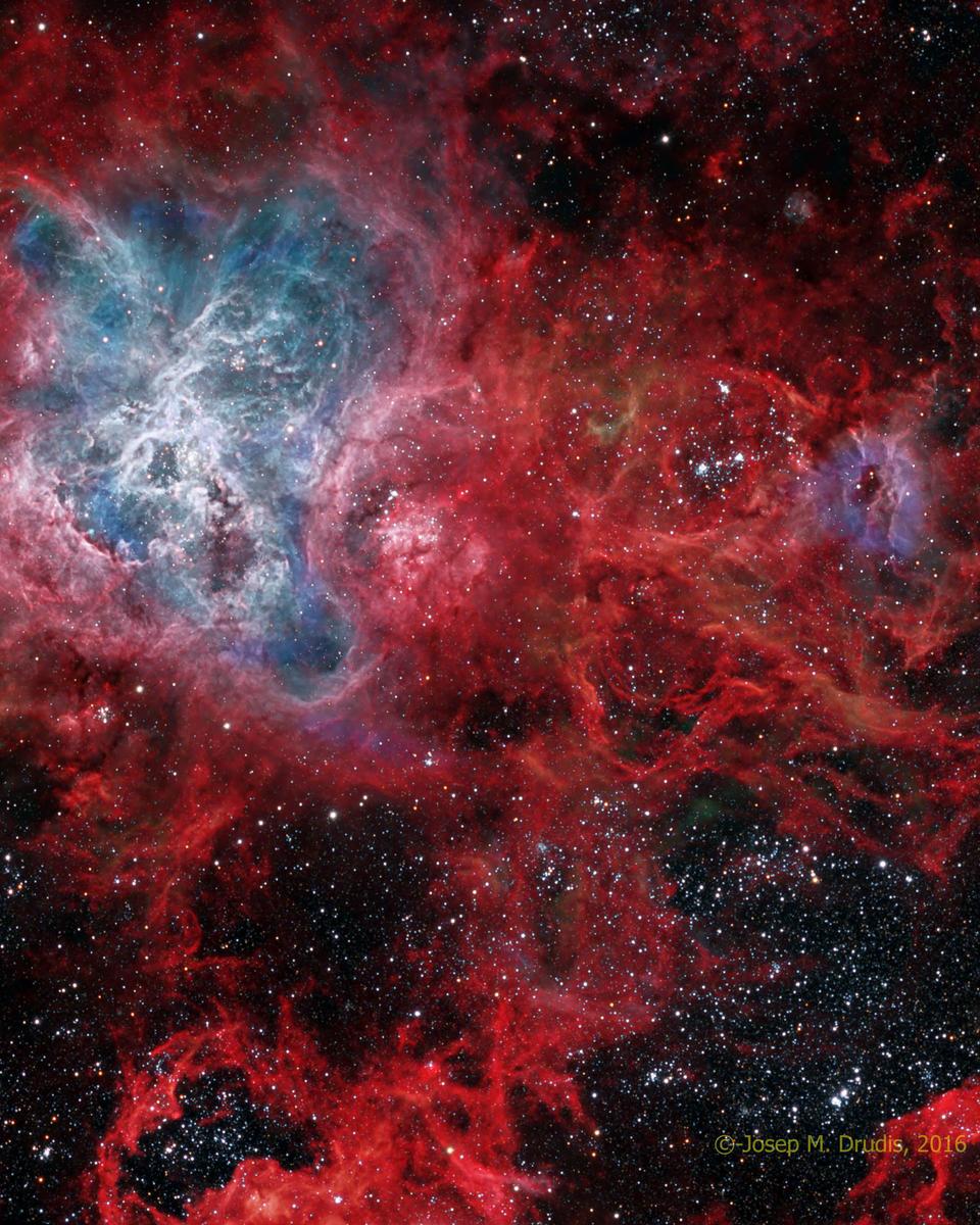 The Cosmic Web of the Tarantula Nebula