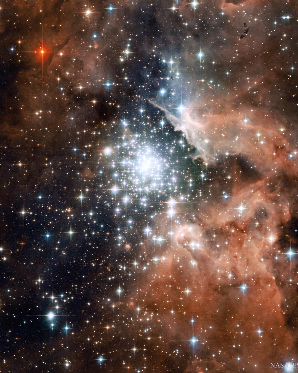 Starburst Cluster in NGC 3603