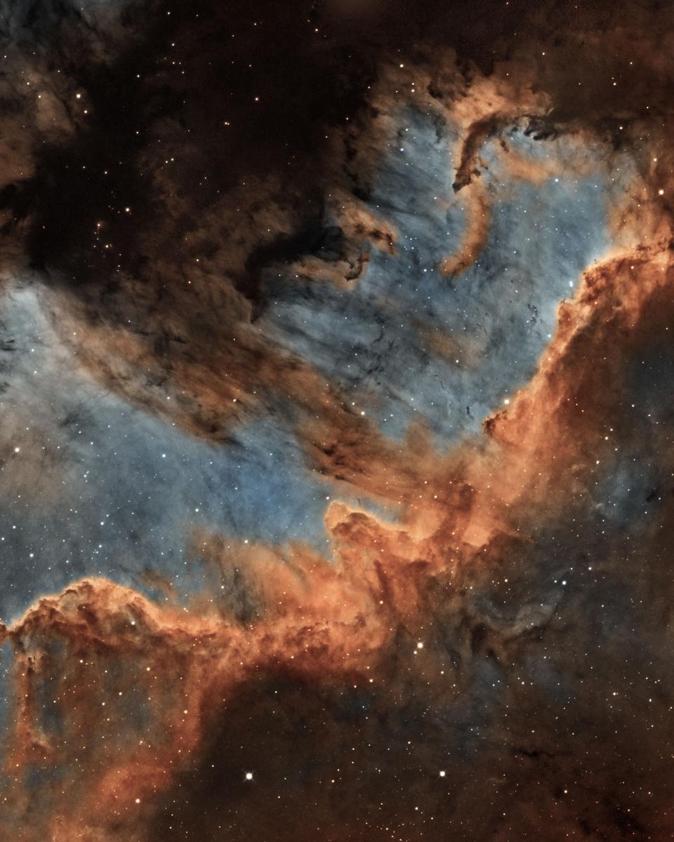 The Cygnus Wall of Star Formation