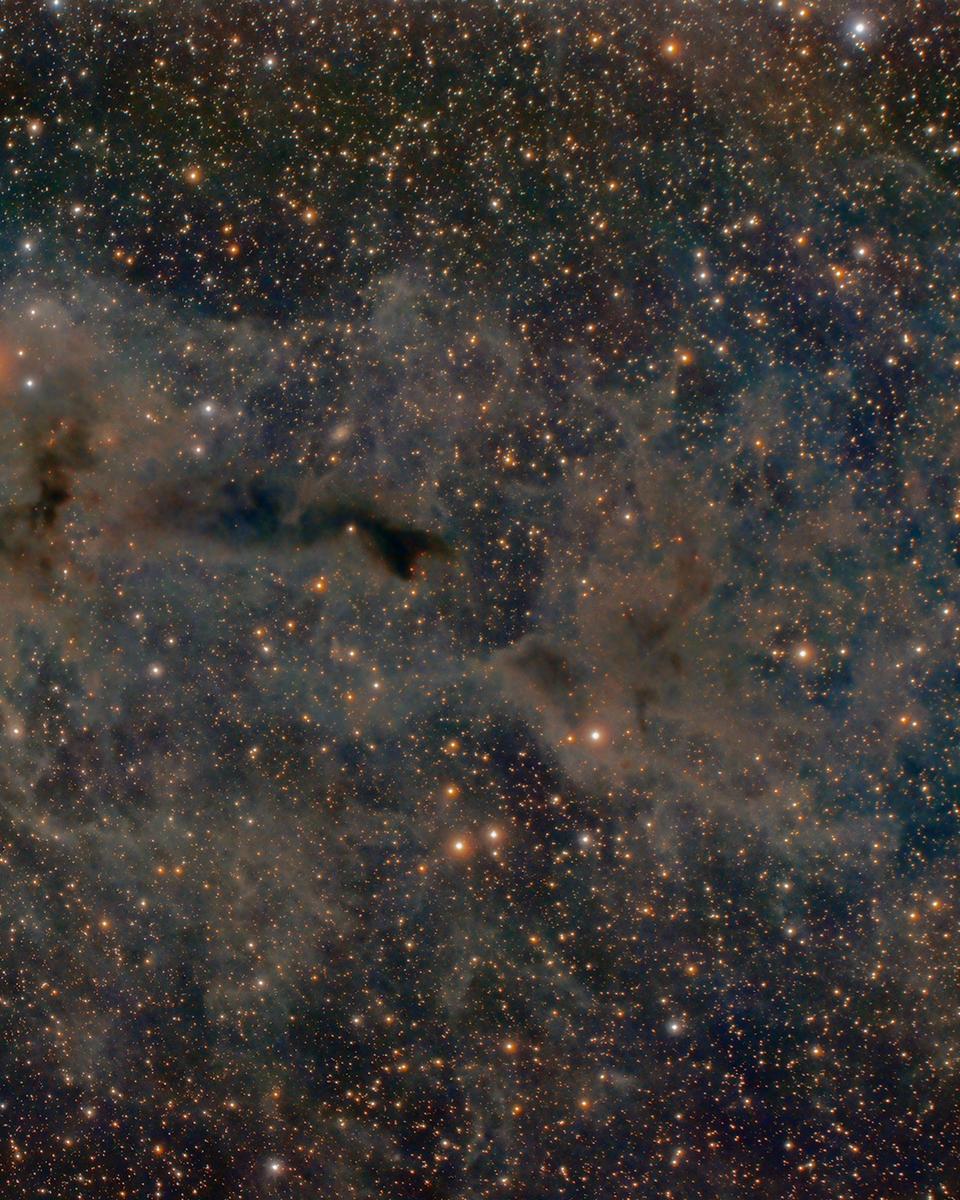 Lynds Dark Nebula 1251