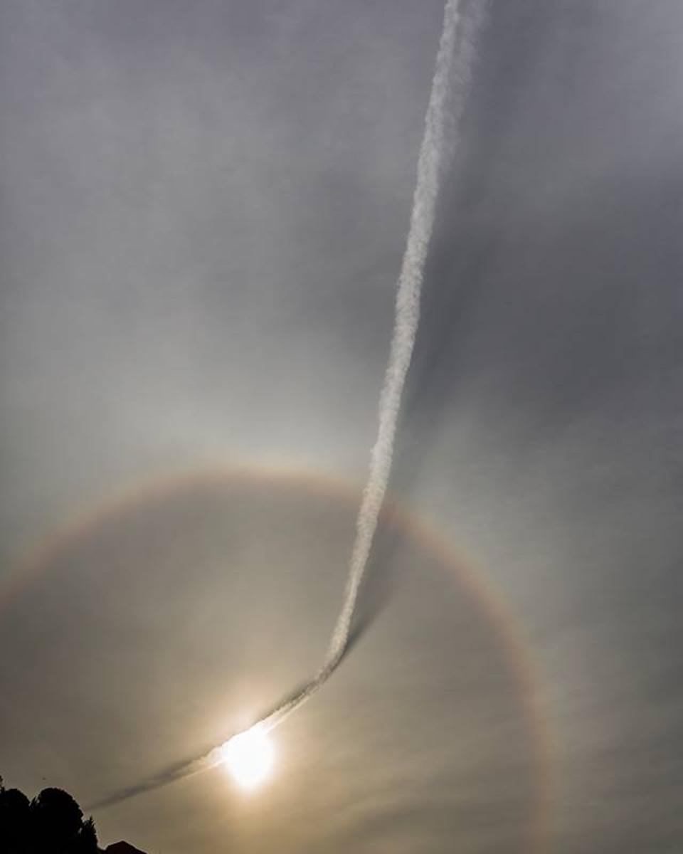 Plane Contrail and Sun Halo